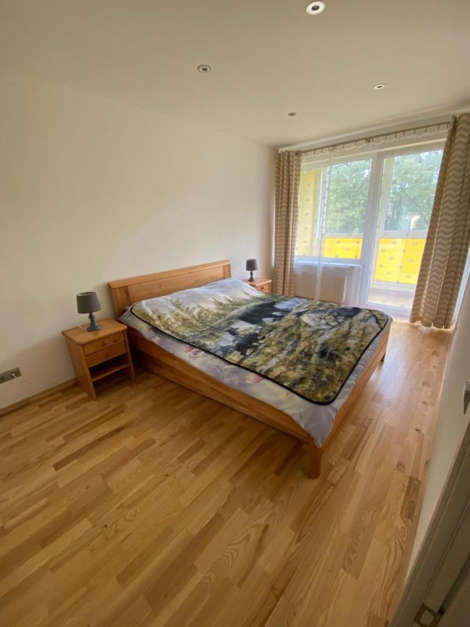 Tomas Apartment 采西斯 外观 照片