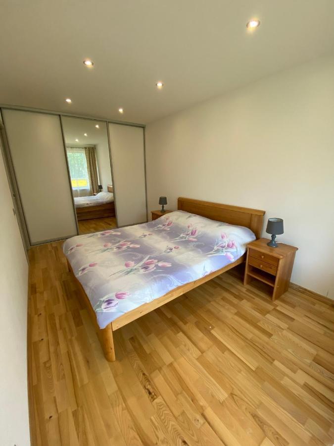 Tomas Apartment 采西斯 外观 照片